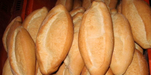 Pan Aleman