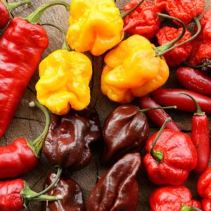 Chile pimiento