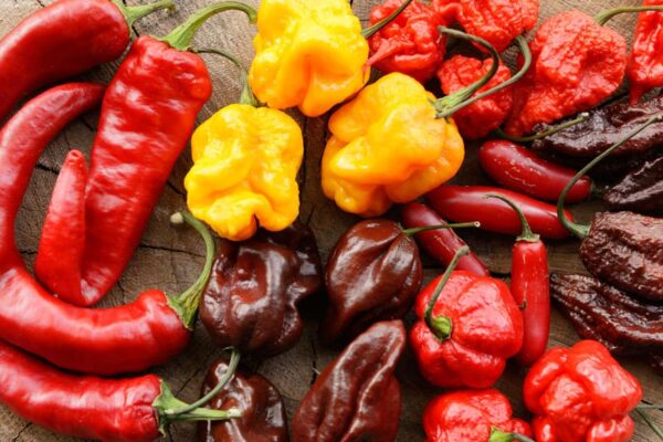 Chile pimiento