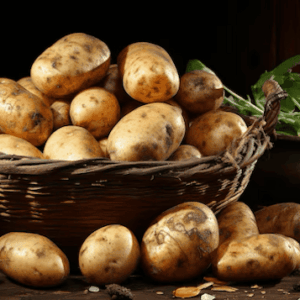 Papas ( Libra )