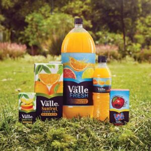 Bebidas Del Valle