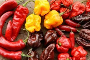 Chile pimiento