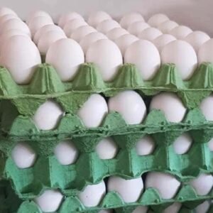 Huevos