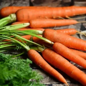 Zanahorias