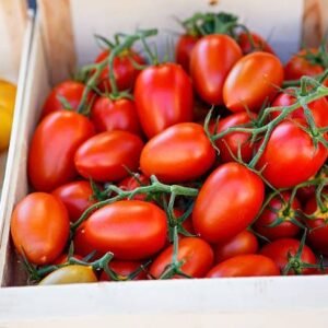 Tomates