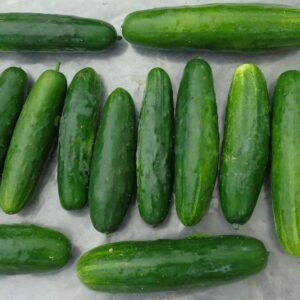 Pepino verde